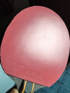 IMG_20250329_111145.jpg