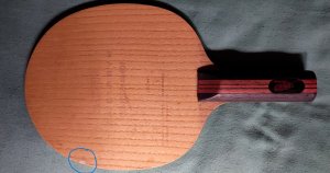 violin f.jpg