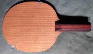violin r.jpg