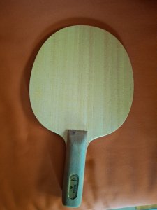 20250429_095039.jpg