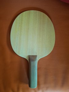 20250429_095045.jpg