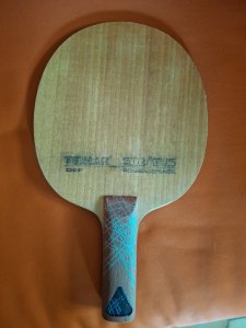 20250429_095052.jpg