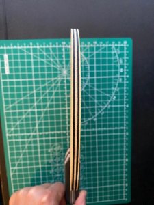 thumbnail_IMG_7729.jpg