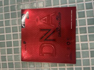 IMG_2766.jpeg