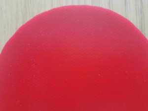 IMG_20250513_133329.jpg