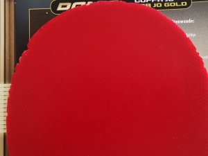 IMG_20250514_165613.jpg