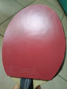 IMG_20250824_165000.jpg