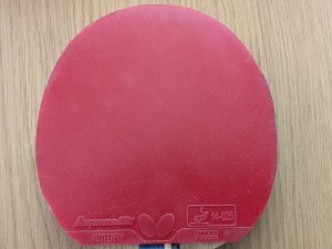 PXL_20250825_131835169.RAW-01.COVER.jpg