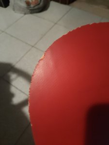 IMG_20250906_211553.jpg