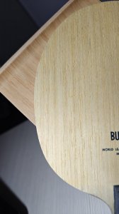 WhatsApp Image 2025-11-29 at 12.11.00(9).jpeg