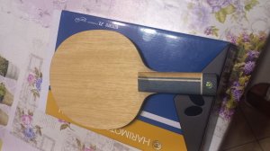 WhatsApp Image 2025-11-20 at 00.58.44.jpeg