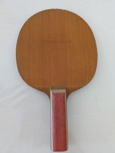 IMG20260609173039.jpg