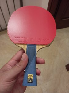 IMG_20260729_140849.jpg