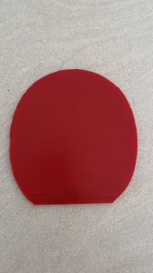 IMG_3050.jpeg