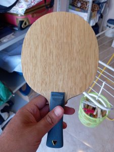 IMG_20260819_174912.jpg