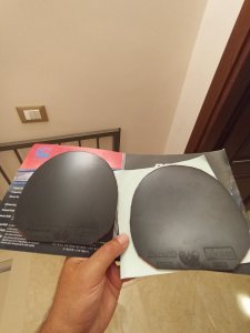 IMG_20260817_181929.jpg