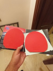 IMG_20260817_181949.jpg