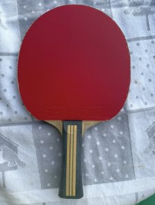 IMG_3451.jpeg