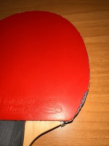 IMG_1761.jpeg