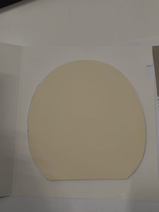 IMG_20260913_205912483.jpg