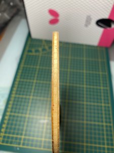 IMG_1921.jpeg