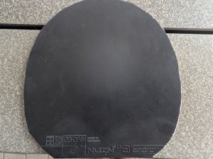PXL_20261002_142151785.jpg