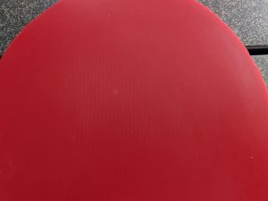 PXL_20261002_142845948.jpg
