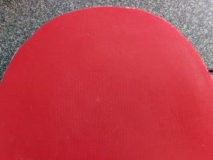 PXL_20261002_142836852.jpg