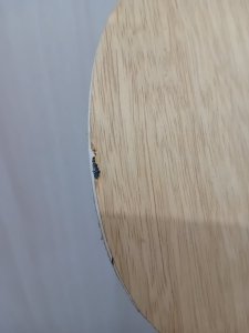 20261007_203233.jpg