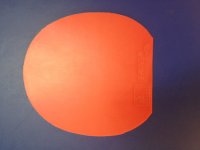 Immagine 306.jpg
