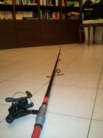 WP_000247.jpg