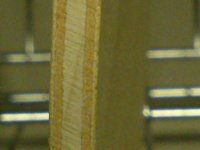 image5.JPG