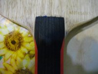IMGP0490.JPG