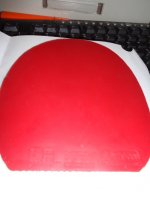 DSC01318.JPG