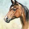 #Cavallo#