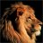 Andrew_10